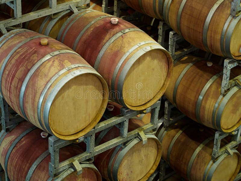 Wine barrels in a winery stock image. Image of cool, french 52703611