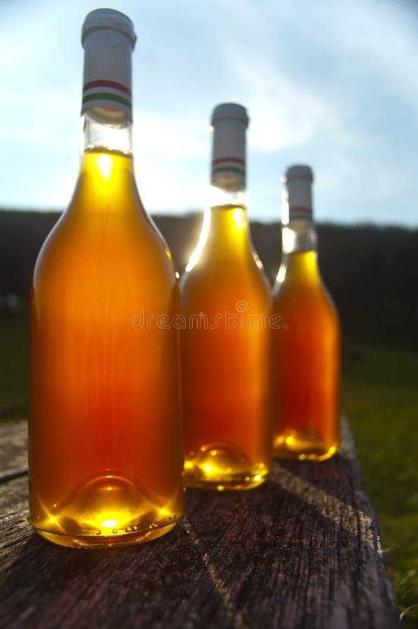 Wine bottle stock photo. Image of luxury, bartender, alcohol 14864848