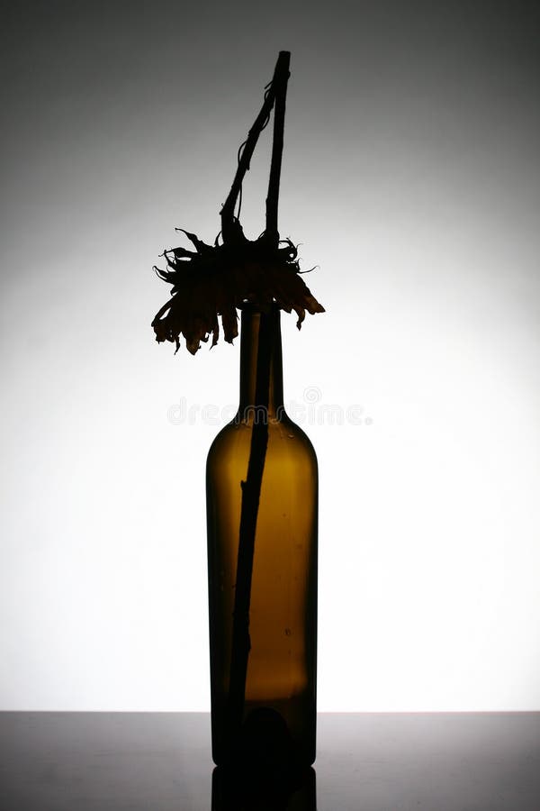 Wine bottle royalty free stock photography