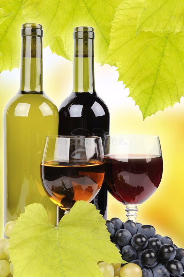 Wine Bottle, Glass and Grapes Stock Photo Image of healthy, grapevine