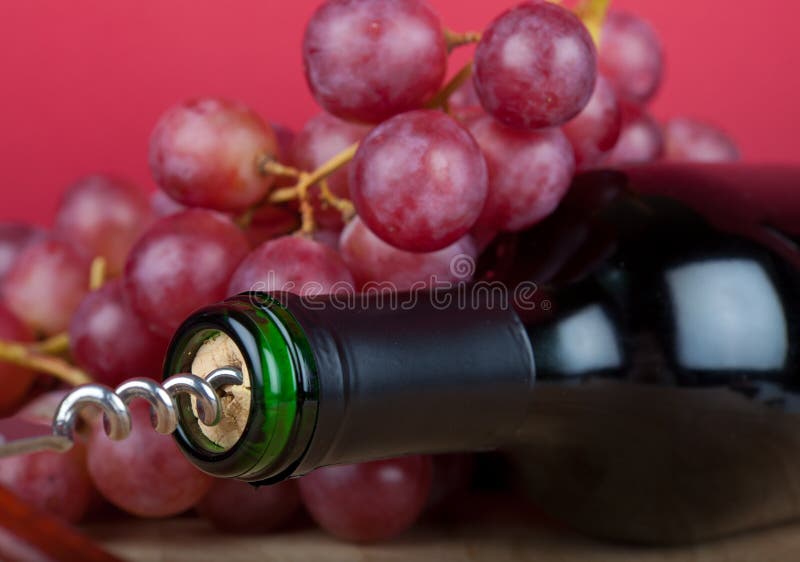 Wine Bottle and grapes stock image. Image of equipment 23824537
