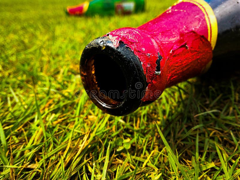 Wine bottle lying on the ground