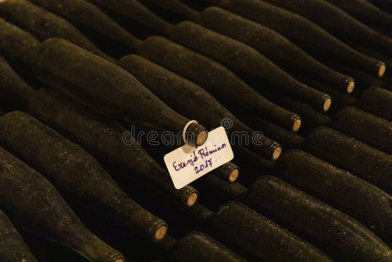 wine bottles in archive cellar, Ezerjo, Hungary