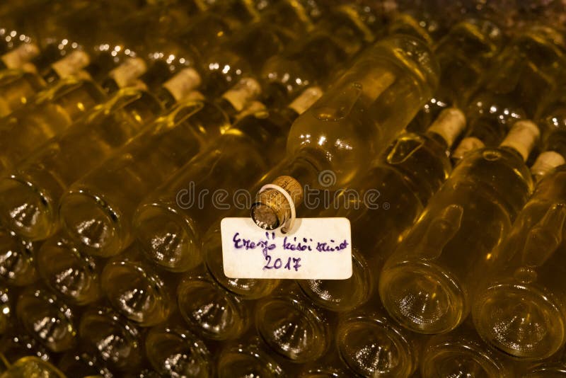 Wine bottles in archive cellar, Ezerjo, Hungary