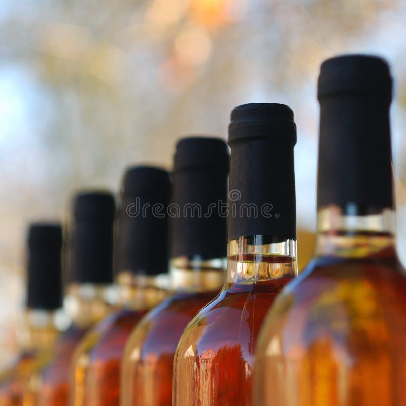 Wine bottles stock photo. Image of fine, dinner, bottle 62431238