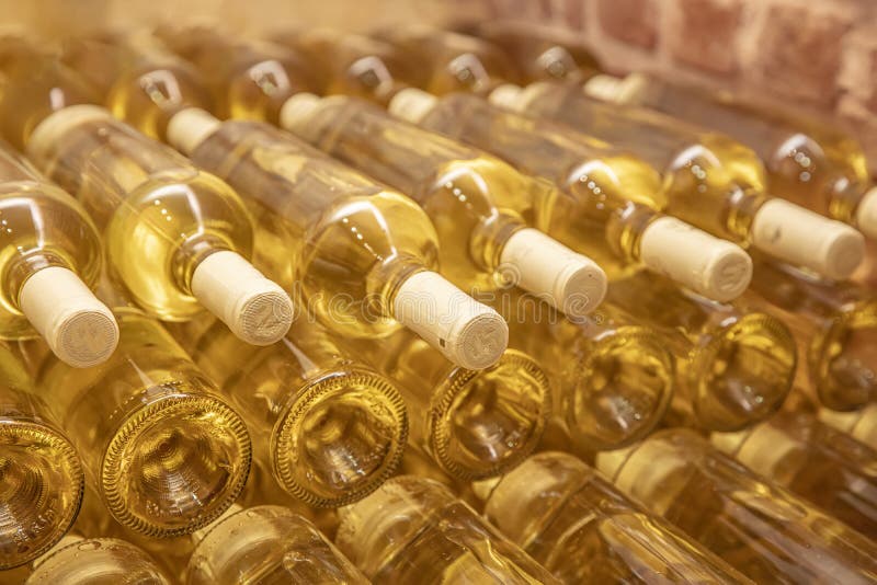 Wine Bottles in the Cellar. a Row of Champagne Bottles Wine Cellar