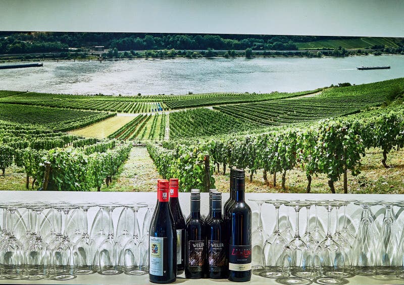 Five Wine Bottles on Counter with Empty Wine Glasses with a mural depicting the pretty Riesling Vineyards sloping down to the might Rhine River in Germany near Rudesheim and Frankfurt. Five Wine Bottles on Counter with Empty Wine Glasses with a mural depicting the pretty Riesling Vineyards sloping down to the might Rhine River in Germany near Rudesheim and Frankfurt.