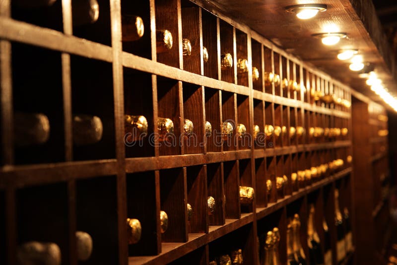 Download Wine cellar stock image. Image of bottle, frame, darkness - 10050651