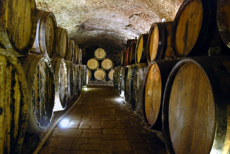 Wine cellar stock photo. Image of white, cask, production 7861558