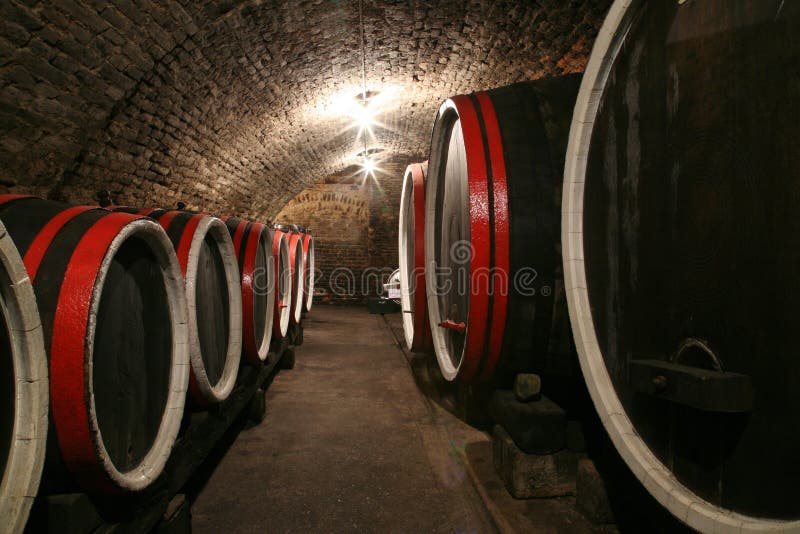 Wine cellar stock photo. Image of white, cask, production 7861558
