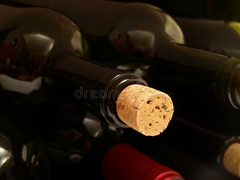 Wine cellar stock images