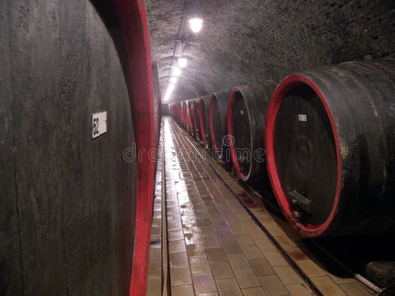 Wine Cellar Picture. Image 2789945