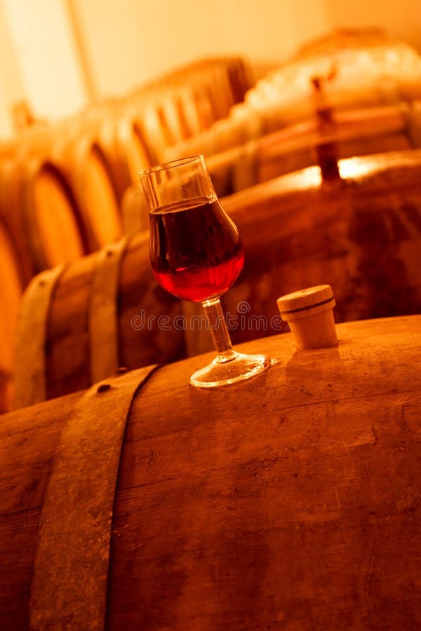 97+ Cask wine cellar Free Stock Photos StockFreeImages