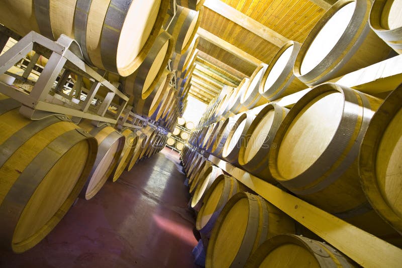 Wine cellar stock photo. Image of good, great, grape, wine 312658