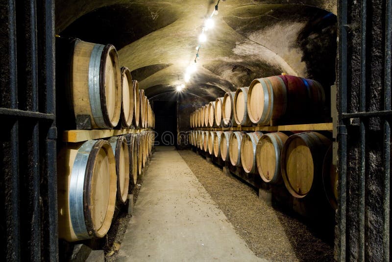 Wine cellar in Burgundy