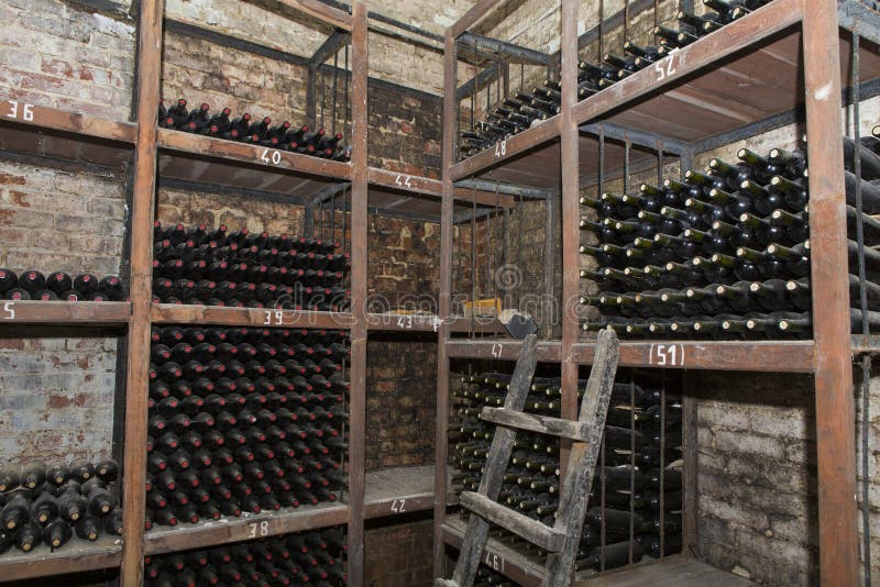 Wine cellar stock photo. Image of dark, industry, distillery 84981596