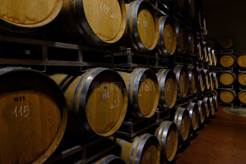 A Wine Cellar Full of Oak Barrels Stock Photo Image of barrique