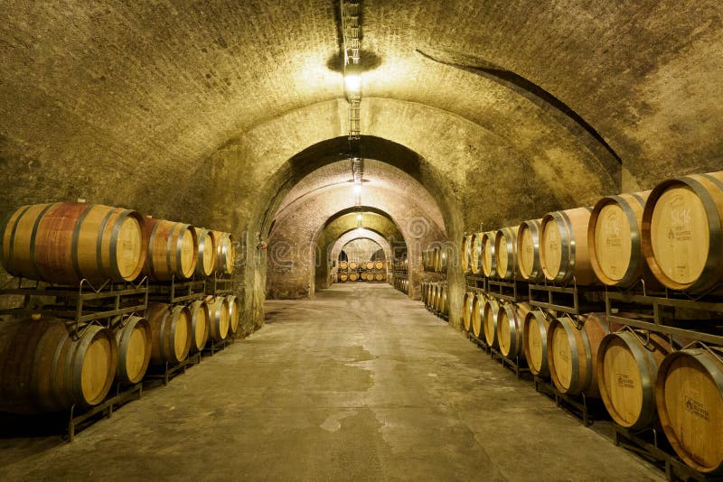 Old Wine Cellar with Wood Casks