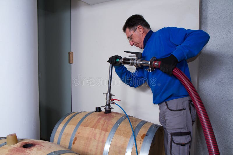 Wine cellar wine maker