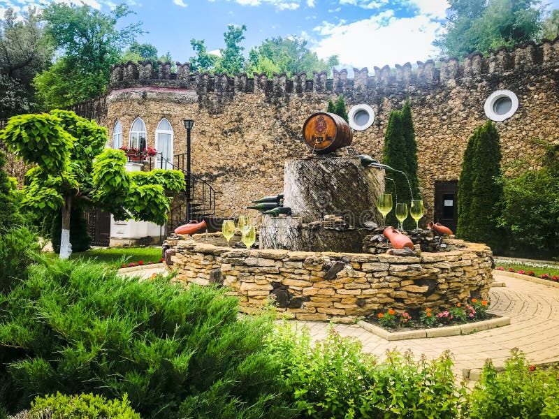 Wine cellar stock image. Image of natur, cellar, wines 146634491