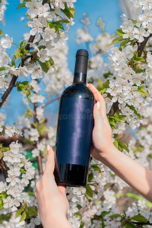 Red wine and flowers stock photo. Image of chardonnay 4601770