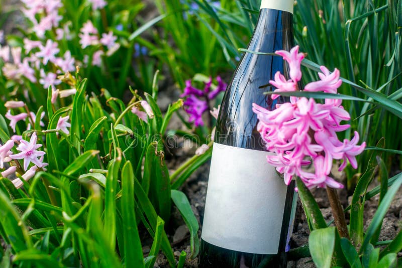 Wine in flowers stock image. Image of garden, romantic 218106469