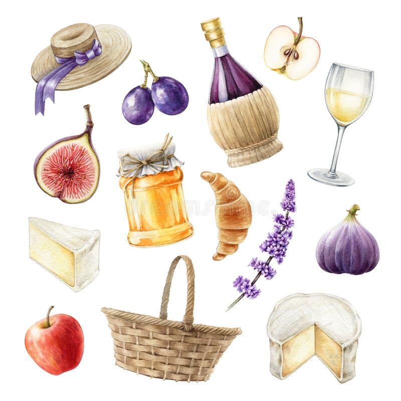 Wine, fruit and cheese watercolor set. Picnic gastronomy set of beverage and tasty fresh snacks. Hand drawn picnic