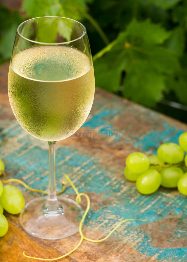 Wine glass with ice cold white wine, outdoor terrace, wine tasting in sunny day, green vineyard garden background.