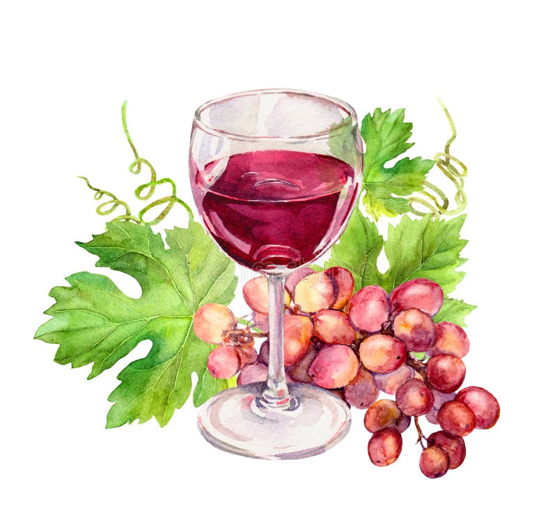 Wine glass with vine leaves, grape berries. Watercolor stock illustration Wine glass with vine leaves, grape berries. Watercolor stock illustration