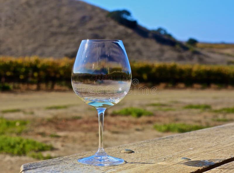 Wine glass white wine wine country California stock image Wine glass white wine wine country California stock image