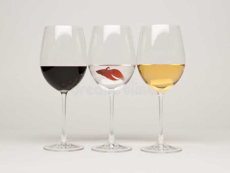 Wine glasses with a fish stock photo. Image of male, celebration 20543914