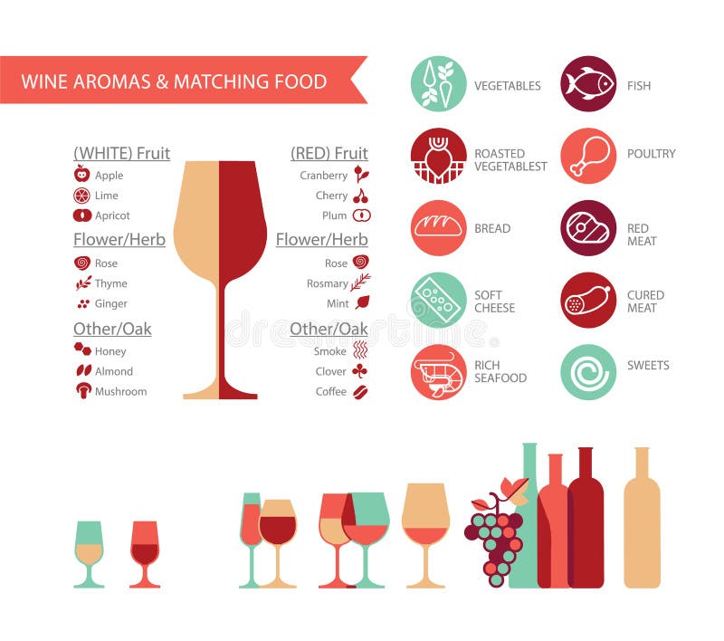 Types of Wine Glasses (Infographic) for Beginners