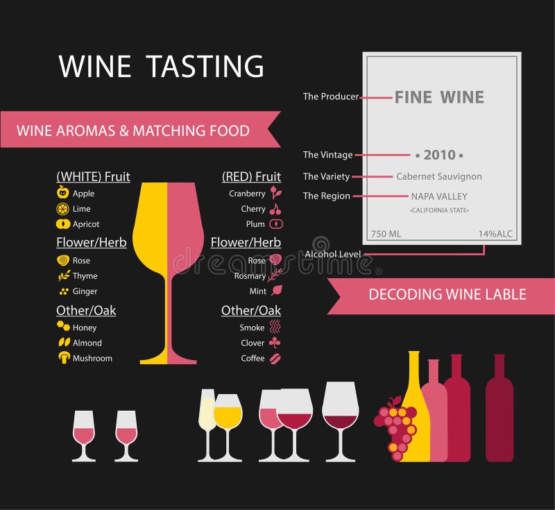 Types of Wine Glasses (Infographic) for Beginners