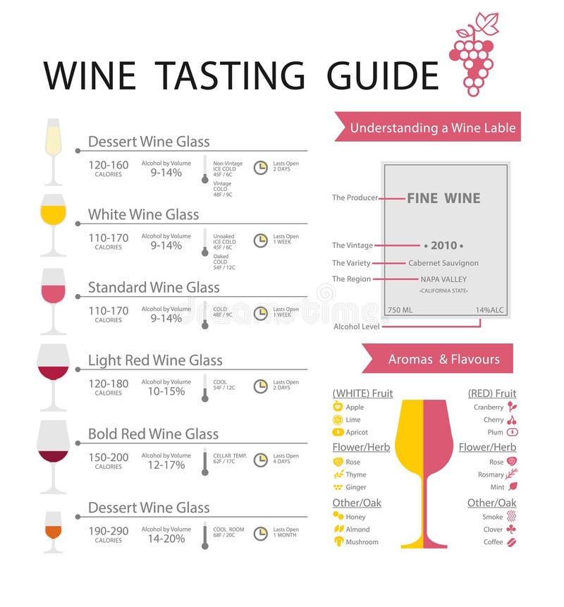 Types of Wine Glasses (Infographic) for Beginners