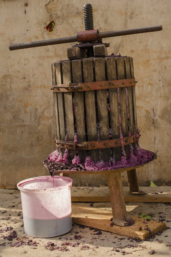 Winemaking. Technology of Wine Production. Stock Image Image of