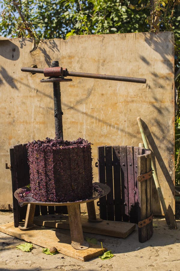 Winemaking. Technology of Wine Production. Stock Photo Image of
