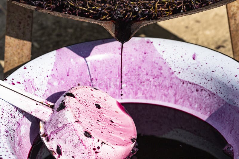 Wine Making. Technology of Wine Production in Moldova. the Ancient Folk