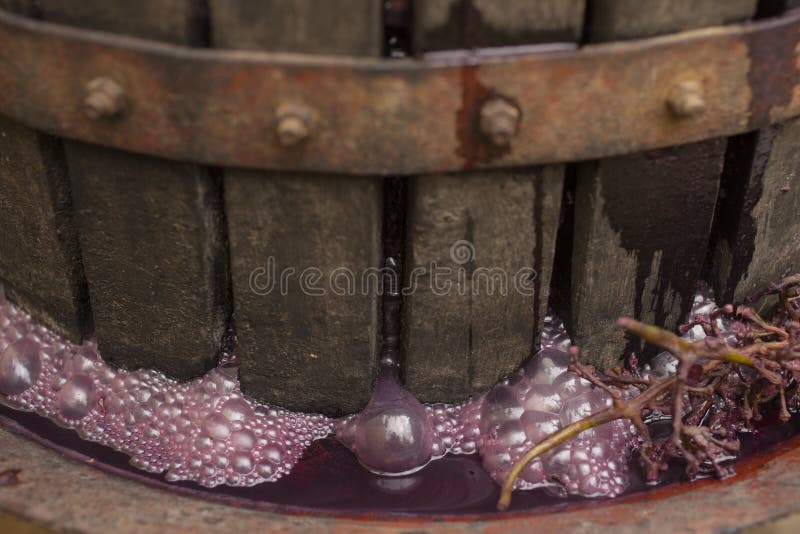 Wine Making. Technology of Wine Production in Moldova. the Ancient Folk
