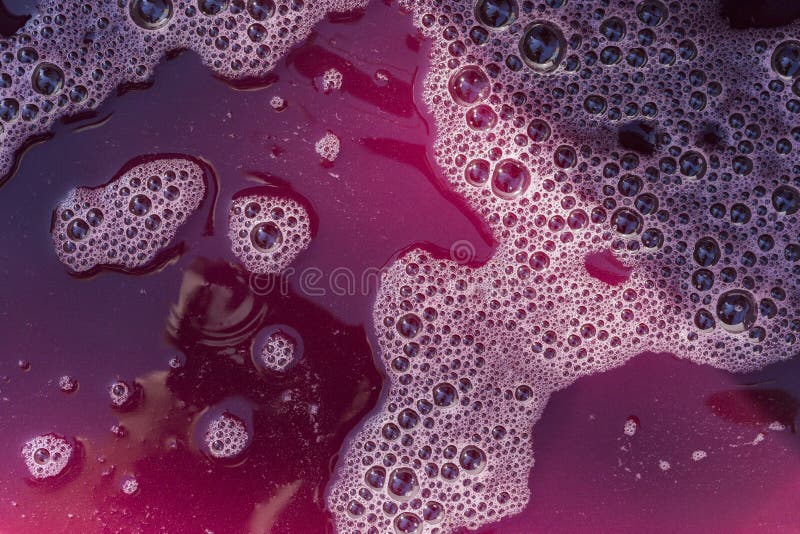 Wine Material, Grape Juice Must, Stum, Maun. Technology of Wine