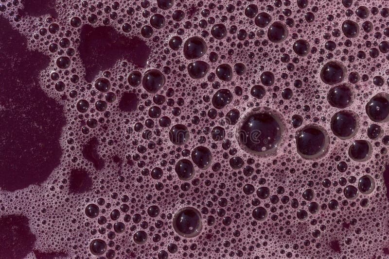 Wine Material, Grape Juice Must, Stum, Maun. Technology of Wine