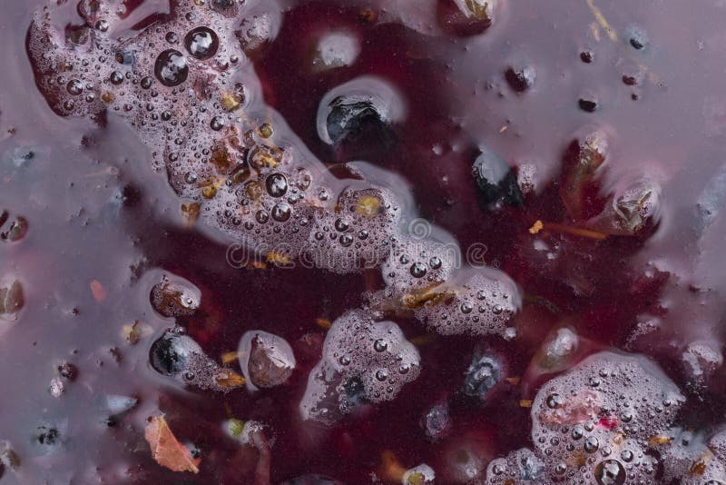 Wine Material, Grape Juice Must, Stum, Maun. Technology of Wine