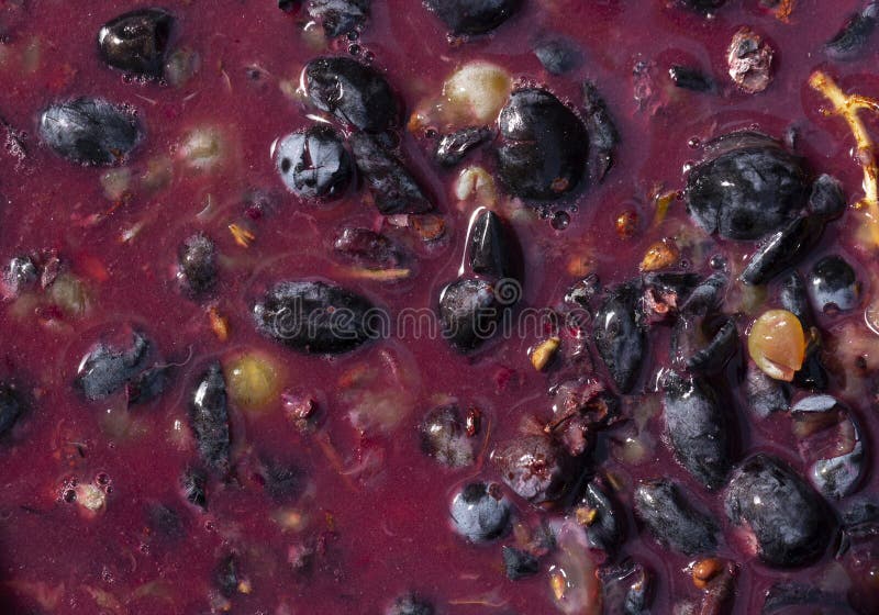 Wine Material, Grape Juice Must, Stum, Maun. Stock Photo Image of