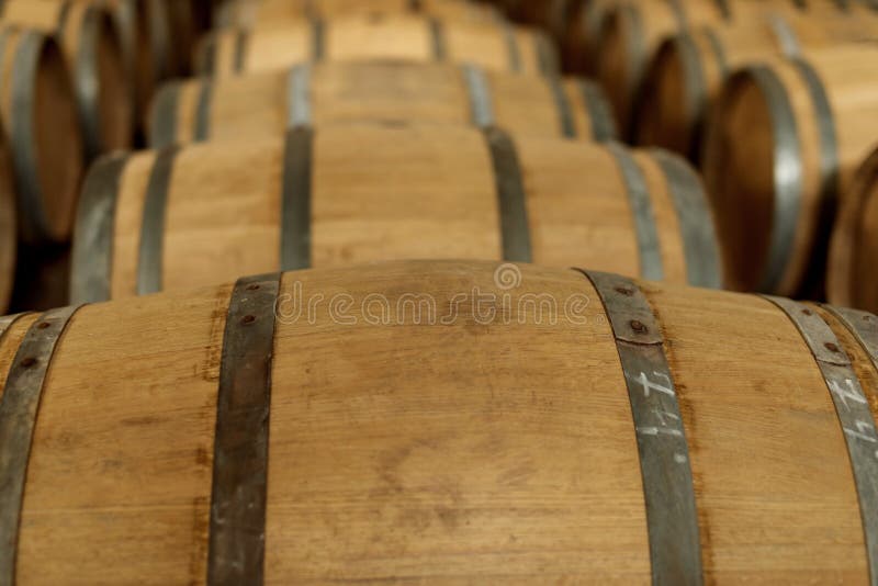 Wine Oak Barrels in Which Red Wine is Aged in the Cellar of the Stock