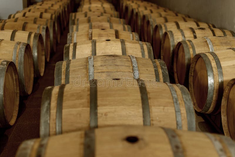 Wine Oak Barrels in Which Red Wine is Aged in the Cellar of the Stock