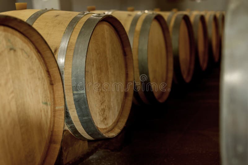 Wine Oak Barrels in Which Red Wine is Aged in the Cellar of the Stock