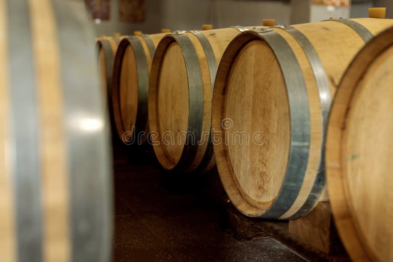 Wine Oak Barrels in Which Red Wine is Aged in the Cellar of the Stock