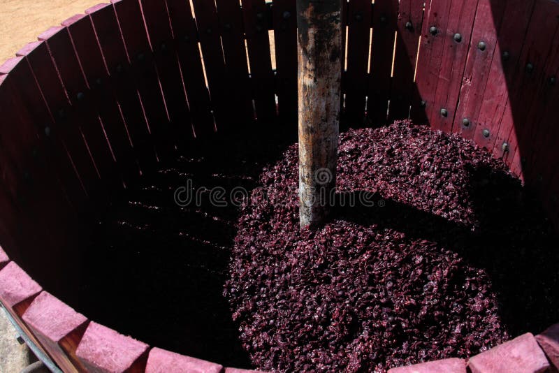 Wine Press with Red Grape Pomace Stock Photo Image of press, manual