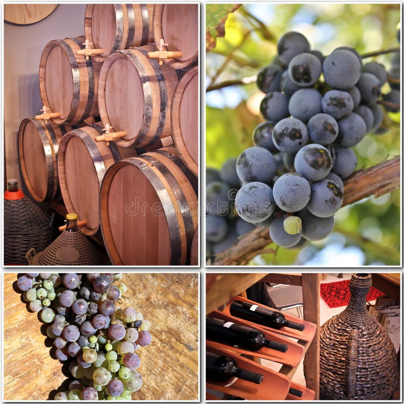 Wine production stock image. Image of sonoma, plant, production 16597189