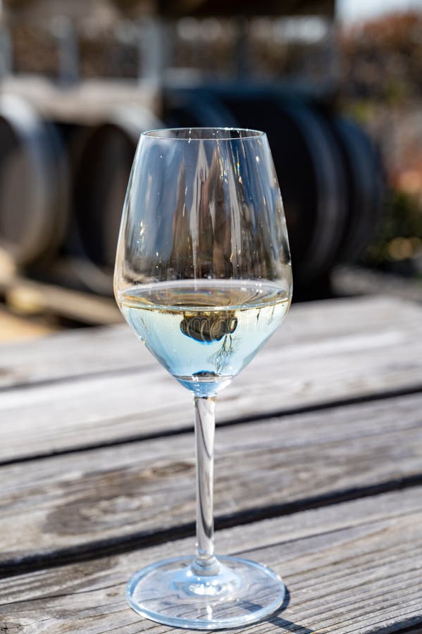 Wine Production in Netherlands, White Wine Tasting Glass Close Up Stock