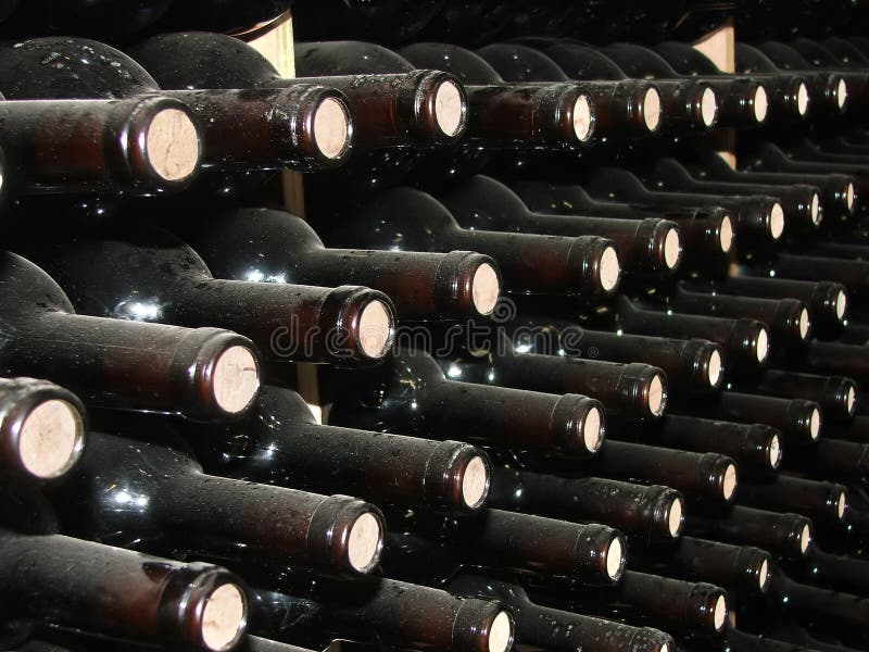 Botellas de vino en líneas en vino sótano.